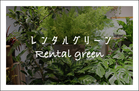 Rental Green