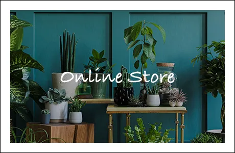 onlineshop