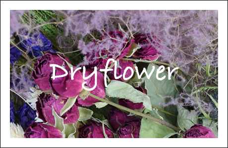 Dry flower